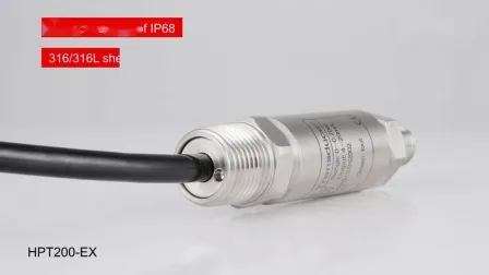 IP65 본질 안전 폭발